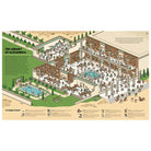 Egypt Magnified by David Long & Harry Bloom