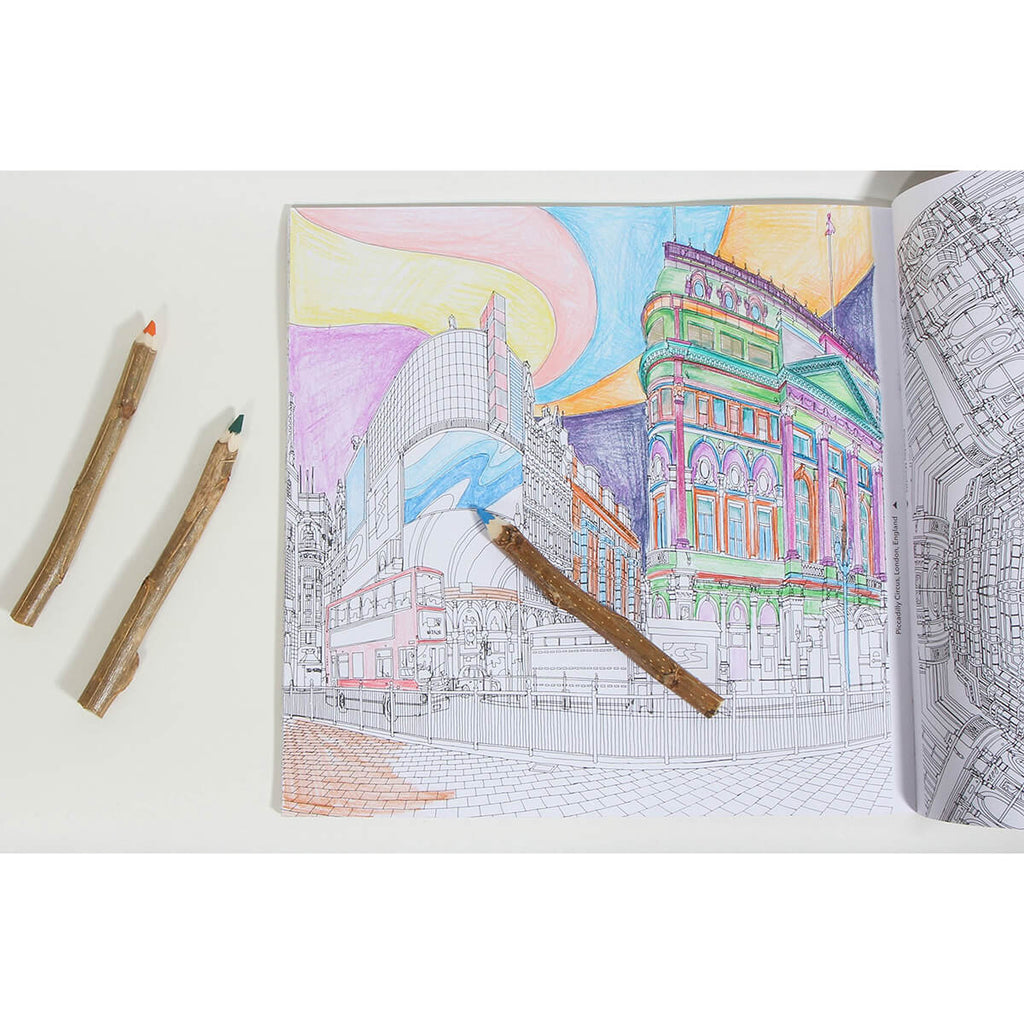 Fantastic Cities: A Colouring Book of Amazing Places Real and Imagined by Steve McDonald