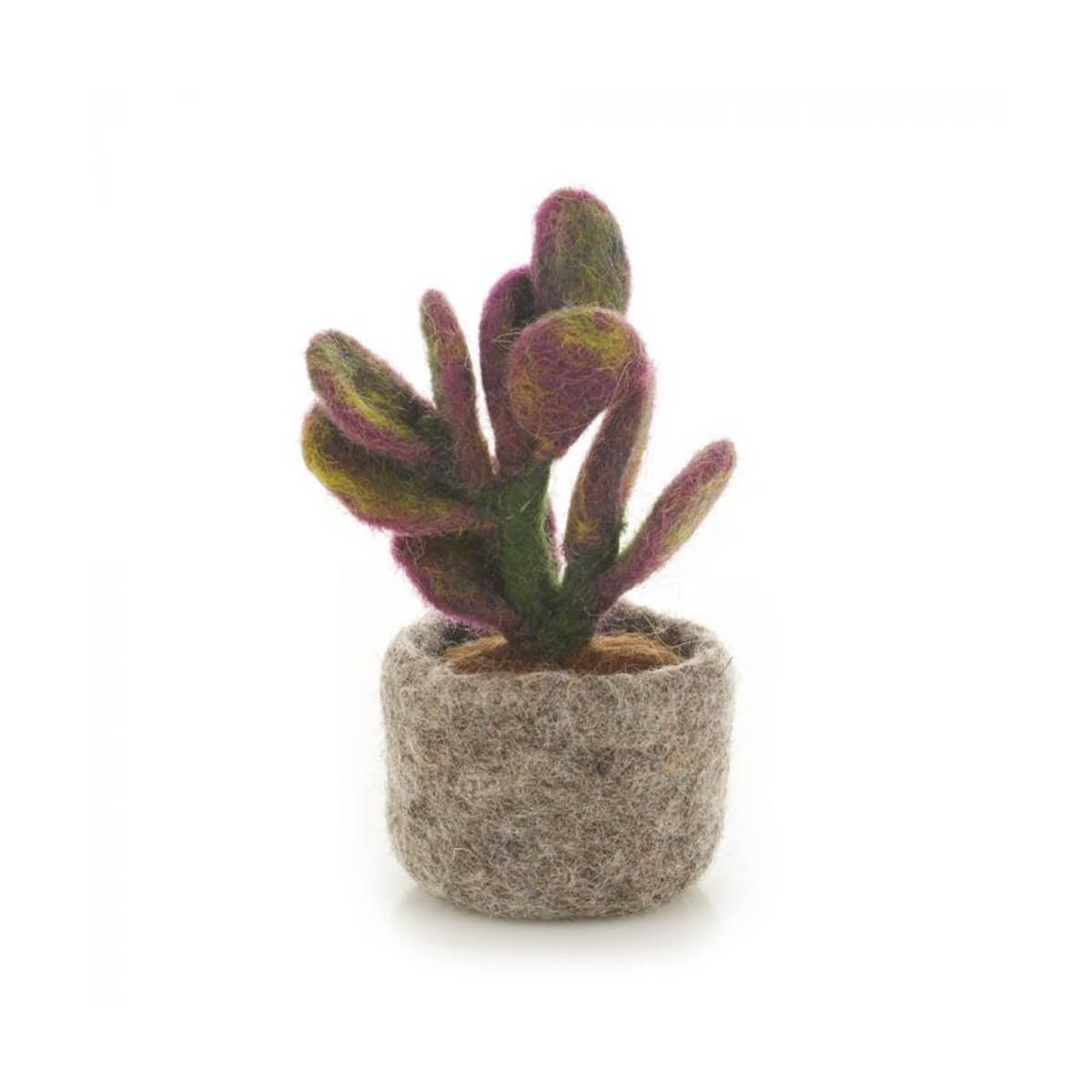 Ficus Elastica Plant Felt Decoration by Felt So Good