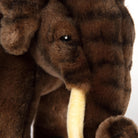 Asian Elephant by Hansa