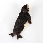 Baby Seal Monk by Hansa