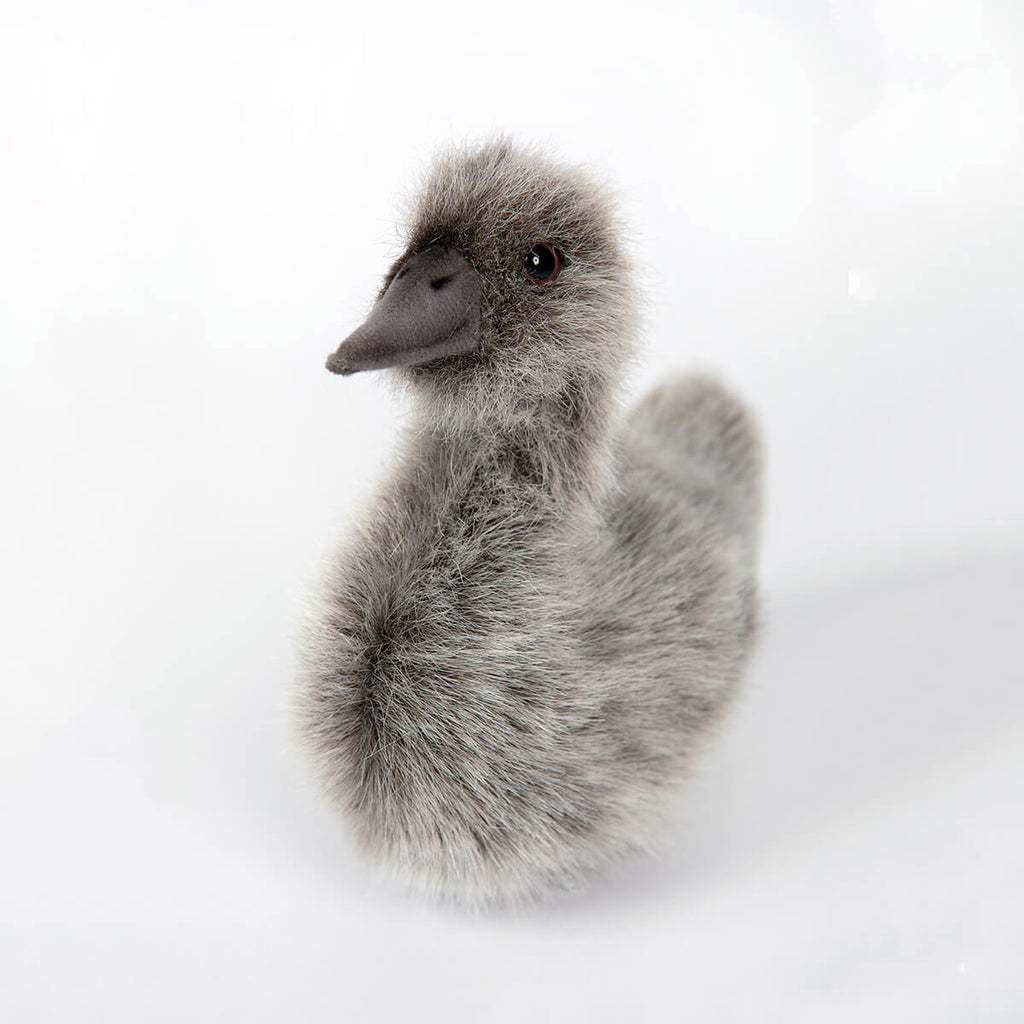 Baby Swan by Hansa