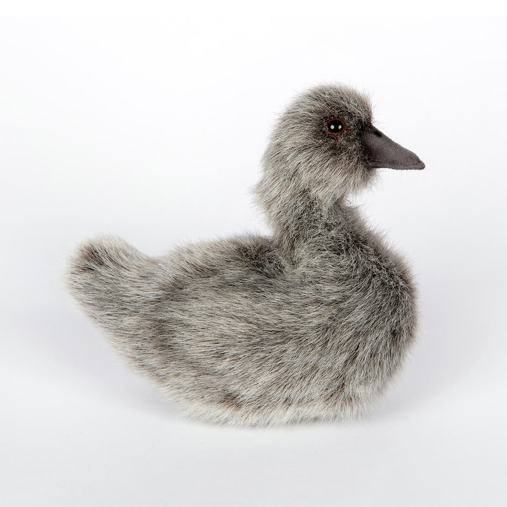 Baby Swan by Hansa