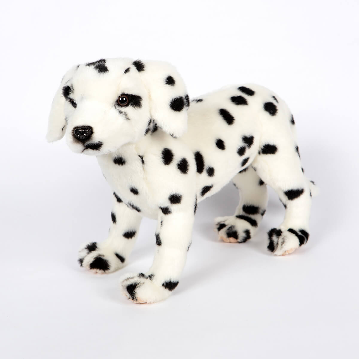 Dalmatian by Hansa