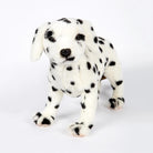 Dalmatian by Hansa