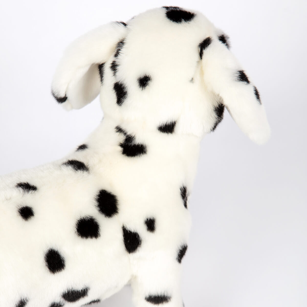 Dalmatian by Hansa