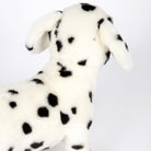 Dalmatian by Hansa