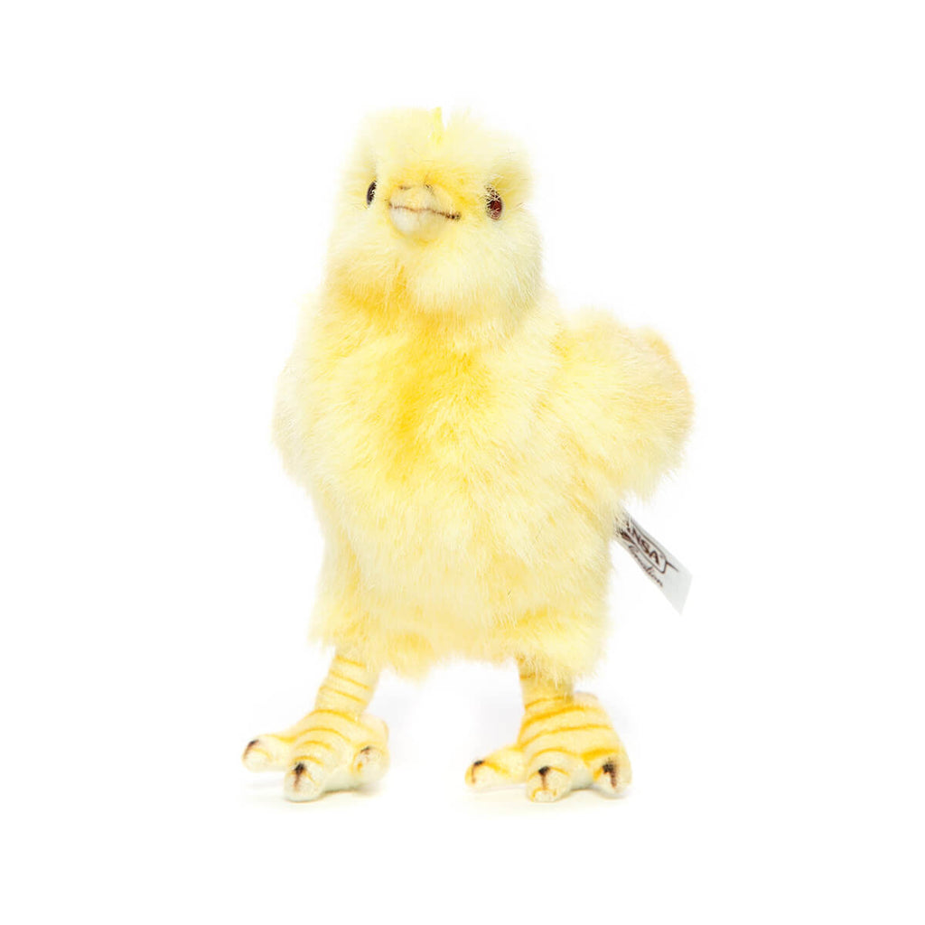 Chick by Hansa