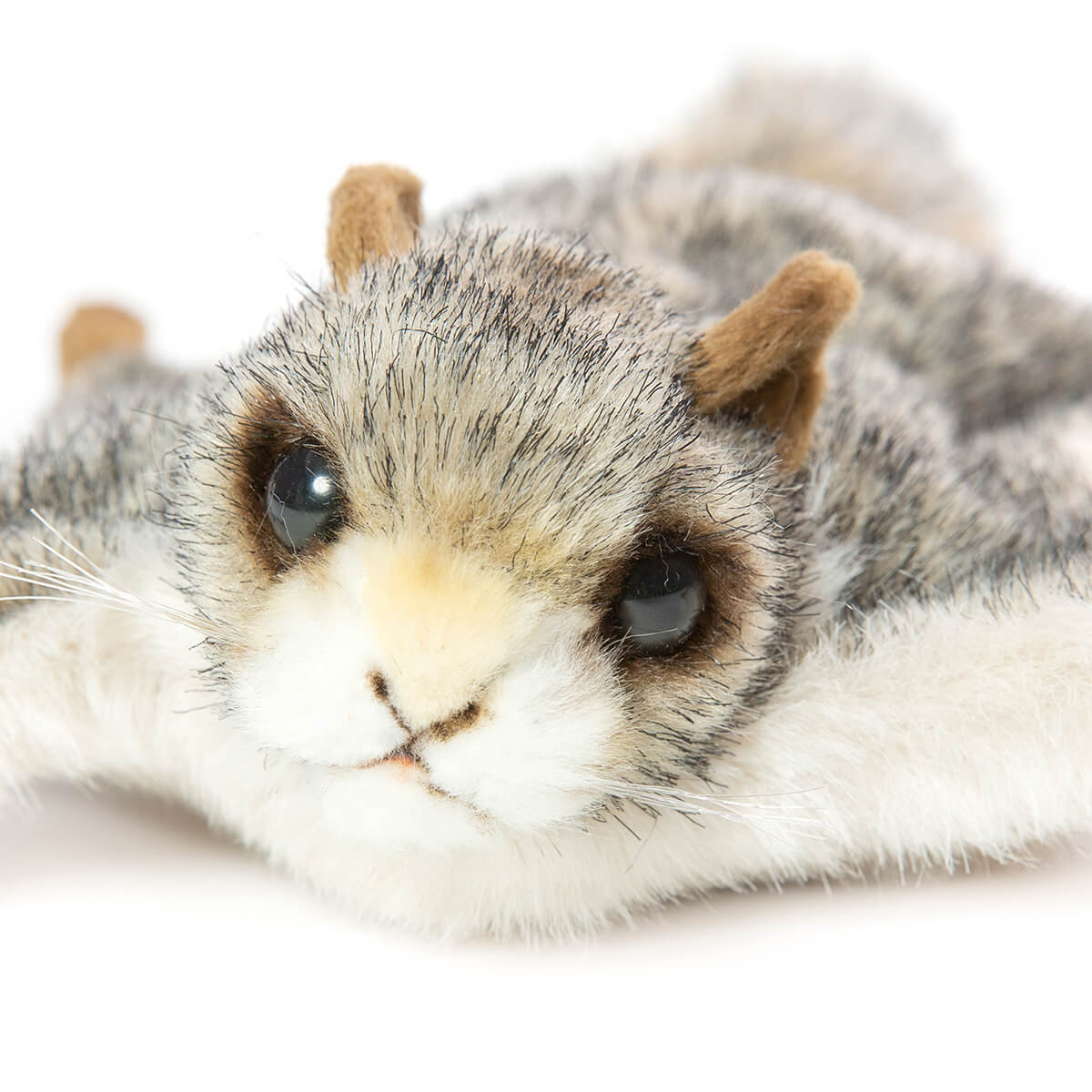 Flying Squirrel by Hansa