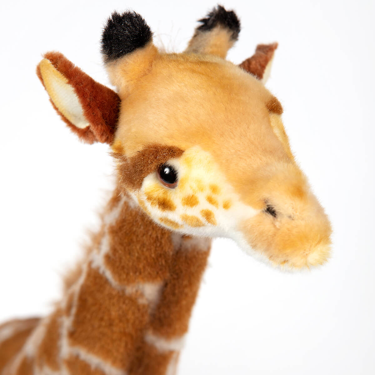 Standing Giraffe by Hansa