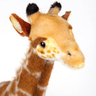 Standing Giraffe by Hansa