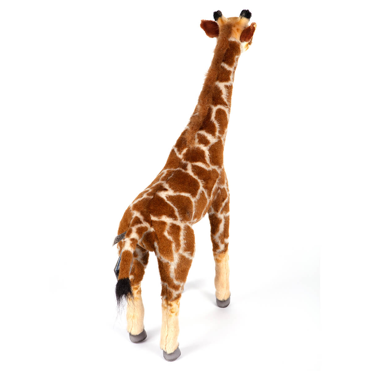 Standing Giraffe by Hansa