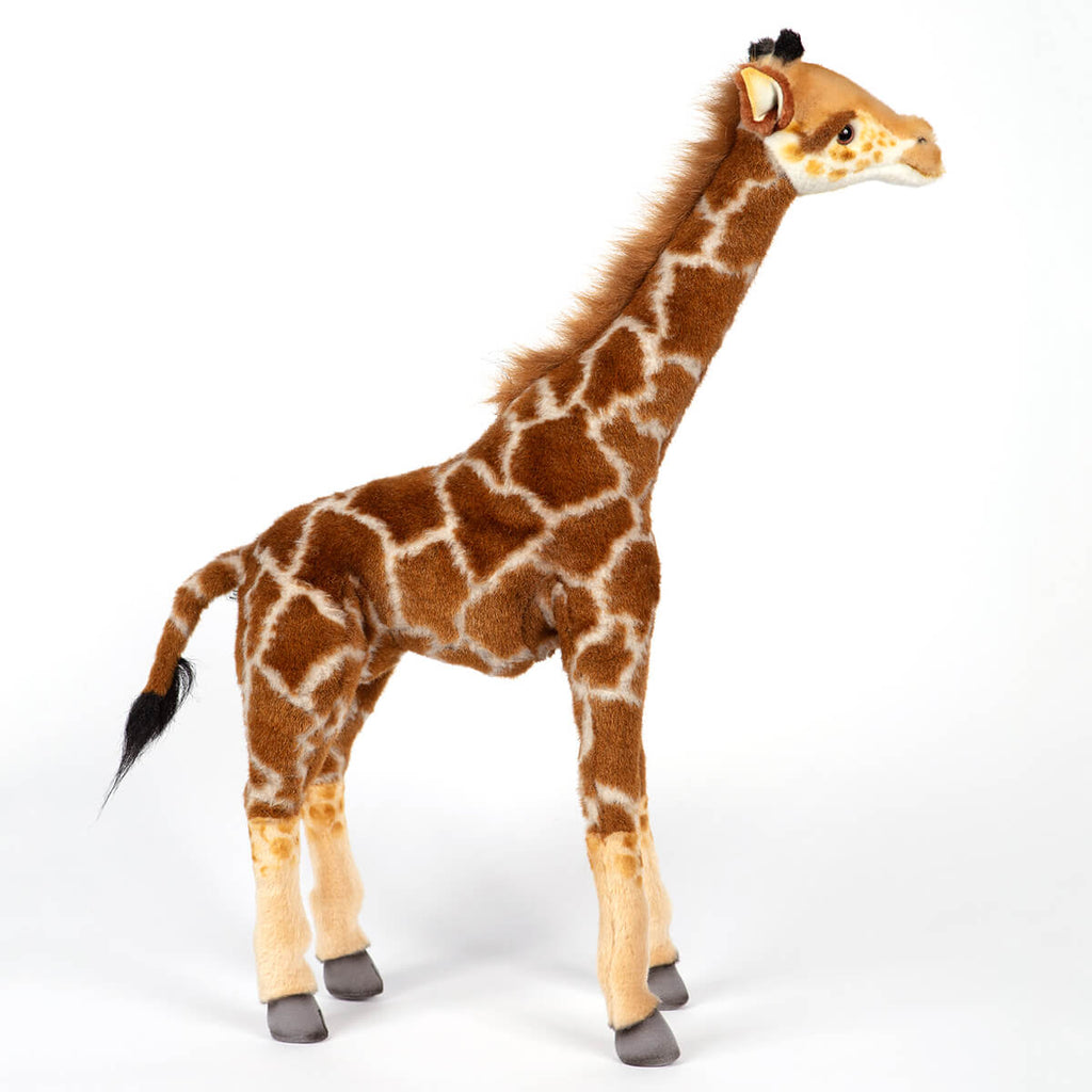 Standing Giraffe by Hansa