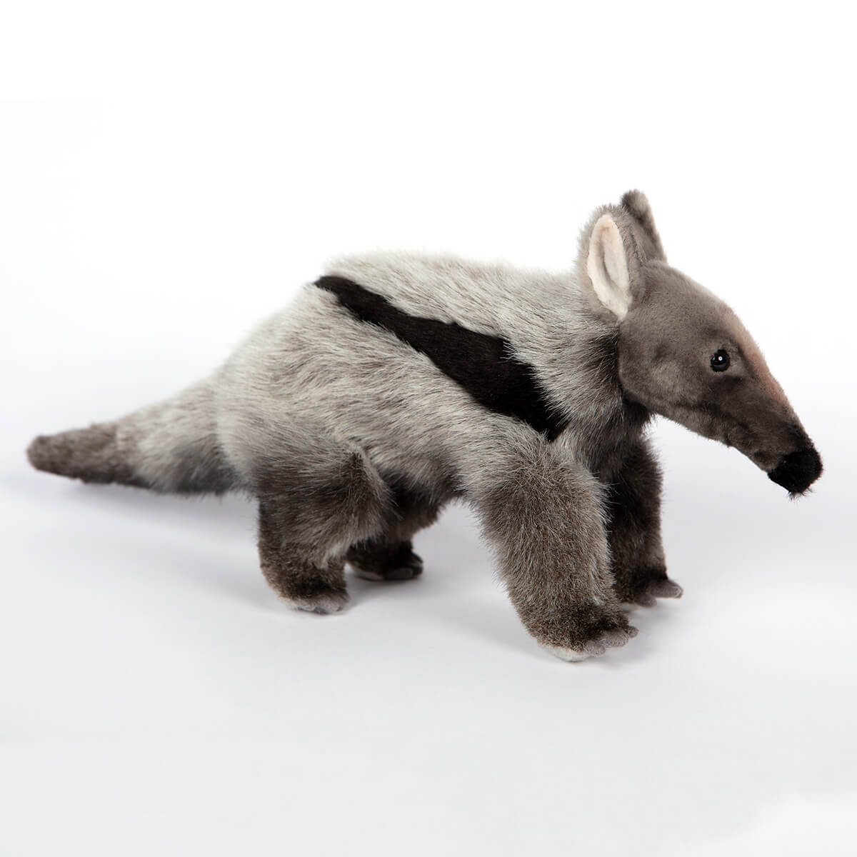 Giant Anteater by Hansa