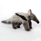 Giant Anteater by Hansa