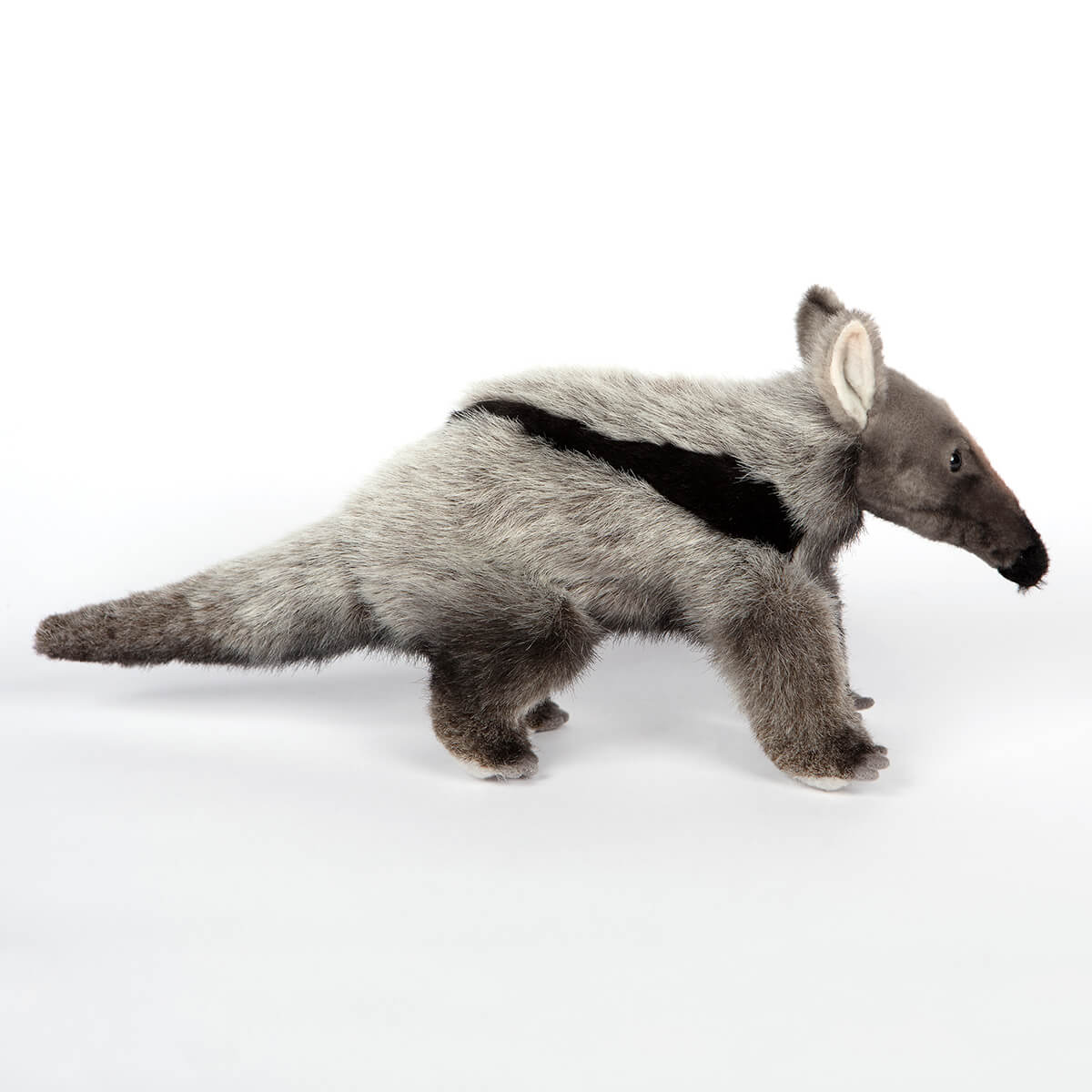 Giant Anteater by Hansa