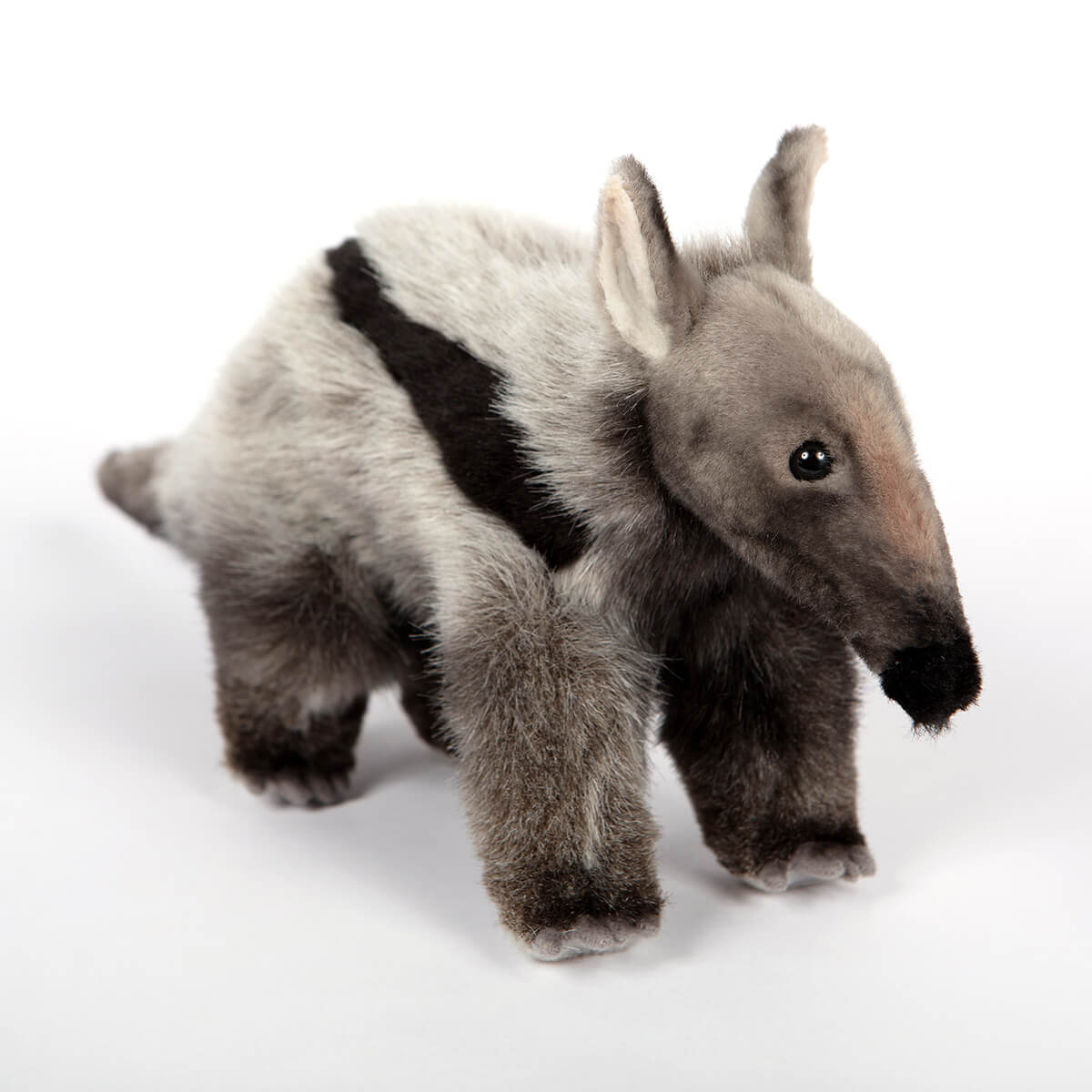 Giant Anteater by Hansa
