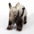 Giant Anteater by Hansa