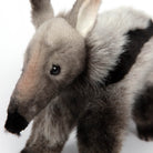 Giant Anteater by Hansa