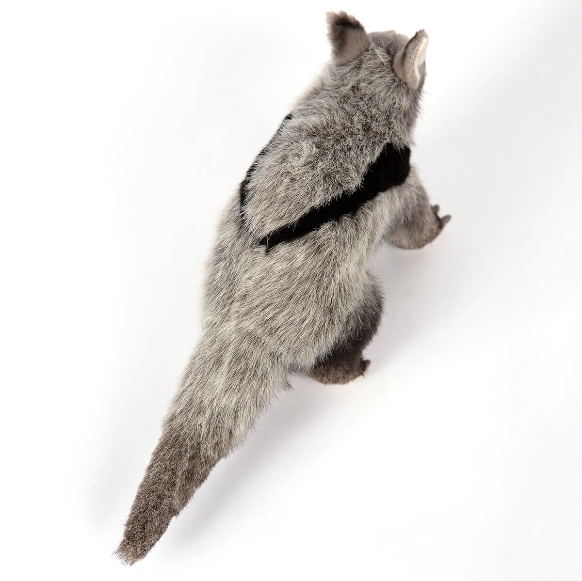 Giant Anteater by Hansa