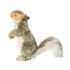 Grey Squirrel With Nut by Hansa