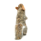 Grey Squirrel With Nut by Hansa