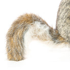 Grey Squirrel With Nut by Hansa