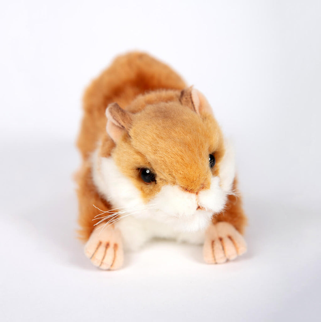Hamster by Hansa