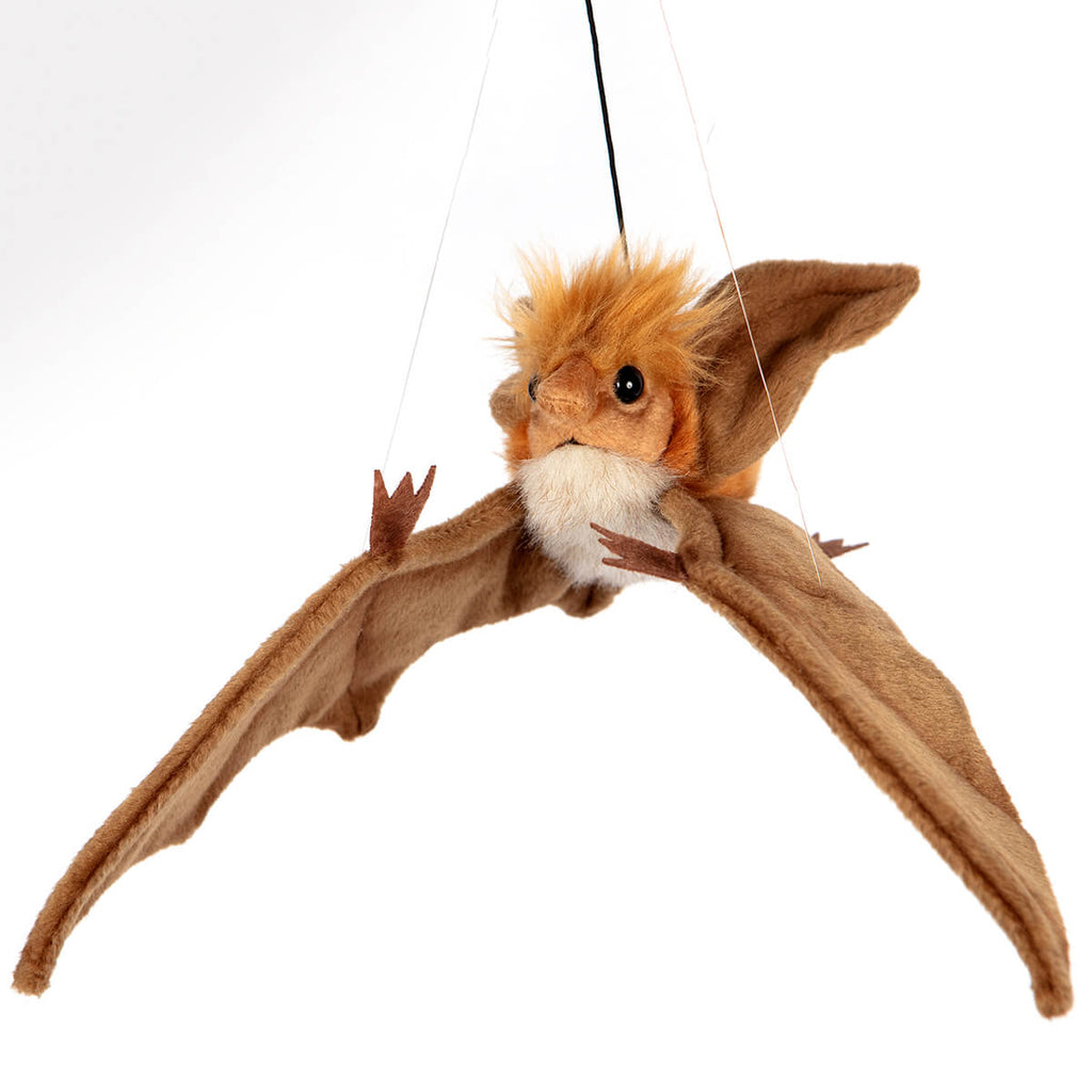 Hanging Bat by Hansa