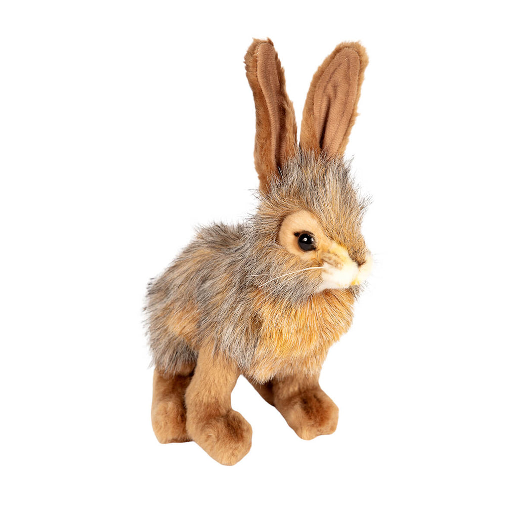 Jack Rabbit by Hansa