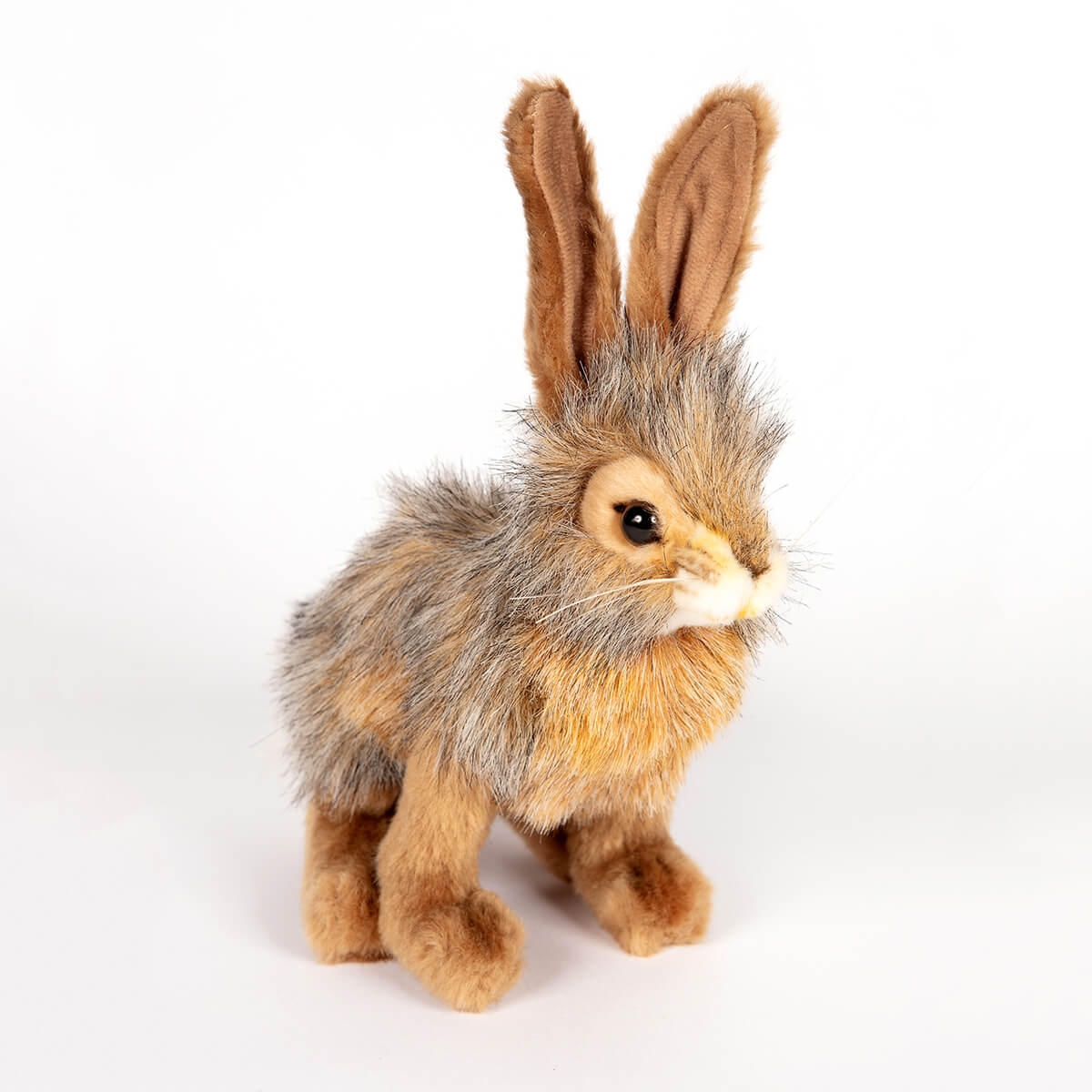 Jack Rabbit by Hansa