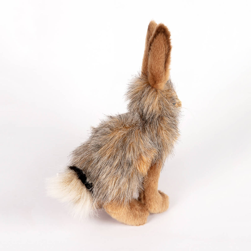 Jack Rabbit by Hansa