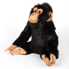 Large Chimp by Hansa