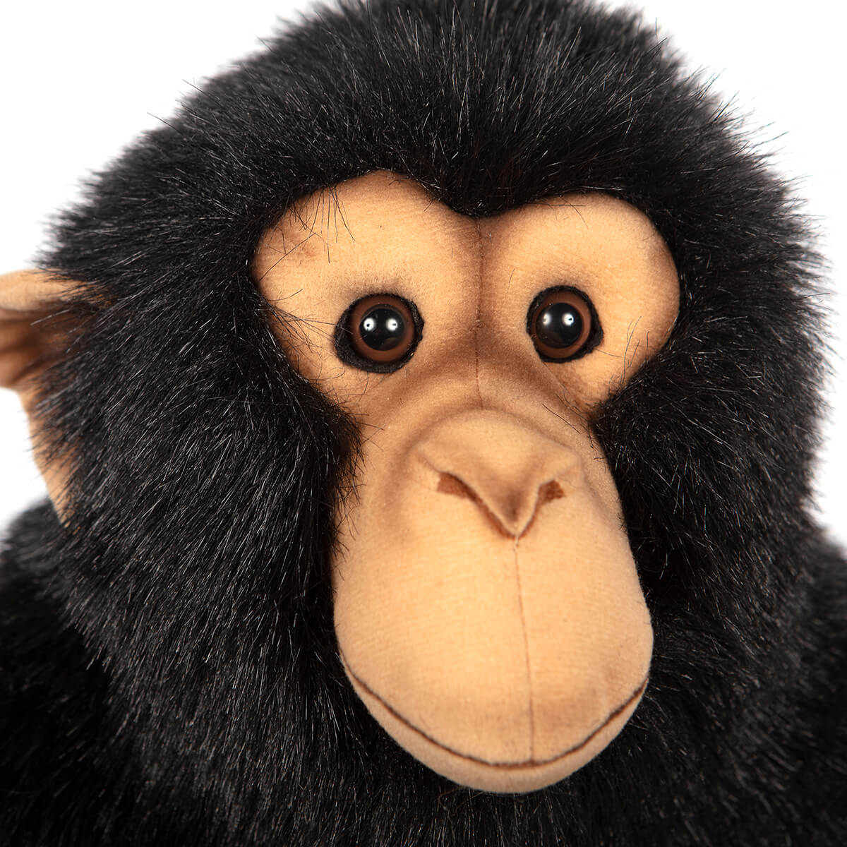 Large Chimp by Hansa