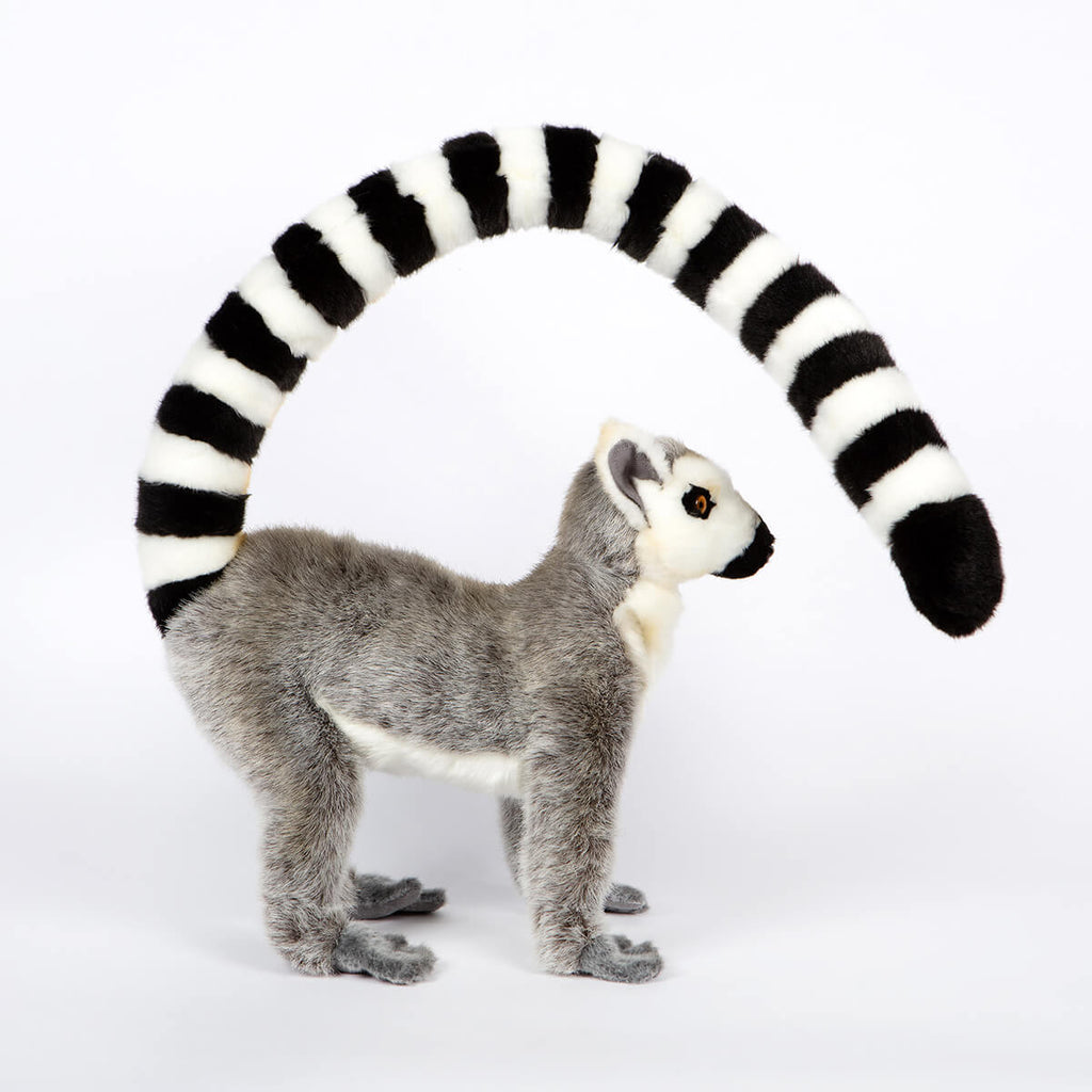 Lemur by Hansa