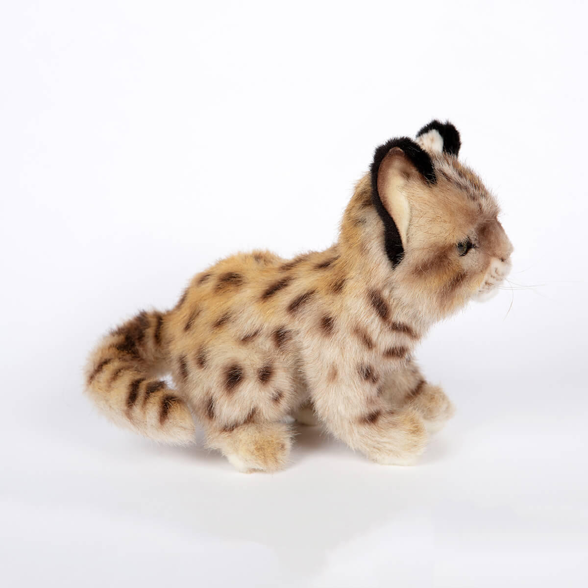 Leopard Cub Shihu by Hansa