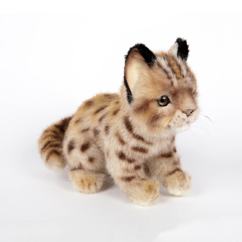 Leopard Cub Shihu by Hansa