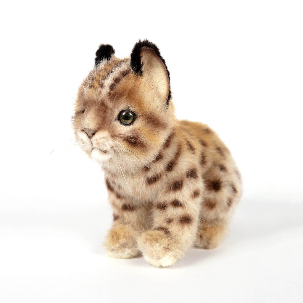 Leopard Cub Shihu by Hansa