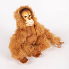 Orangutan by Hansa