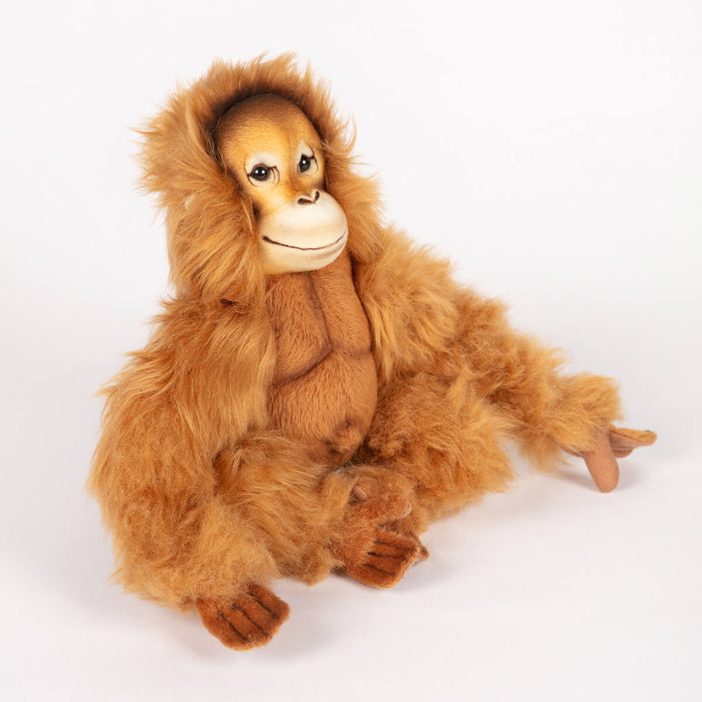 Orangutan by Hansa