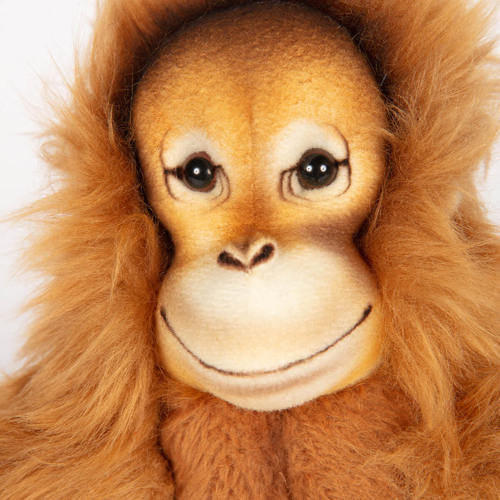 Orangutan by Hansa