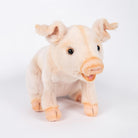 Piglet by Hansa