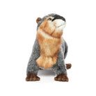 River Otter by Hansa