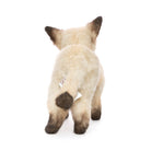 Siamese Kitten by Hansa