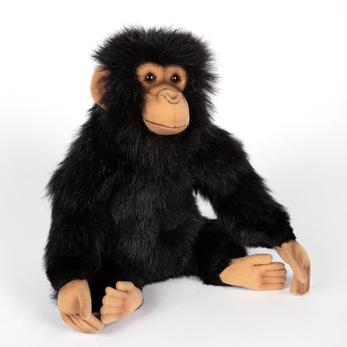 Small Chimp by Hansa