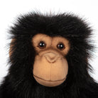 Small Chimp by Hansa