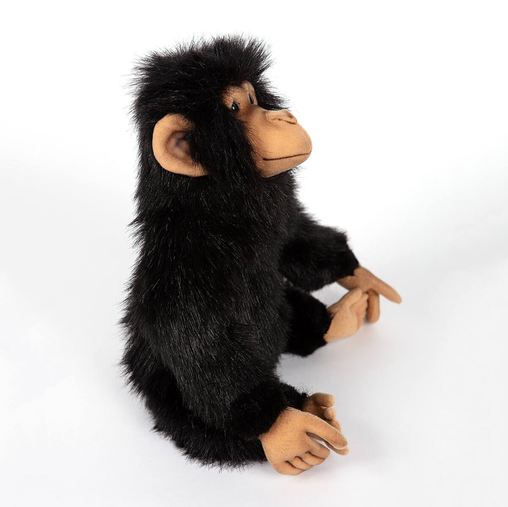 Small Chimp by Hansa