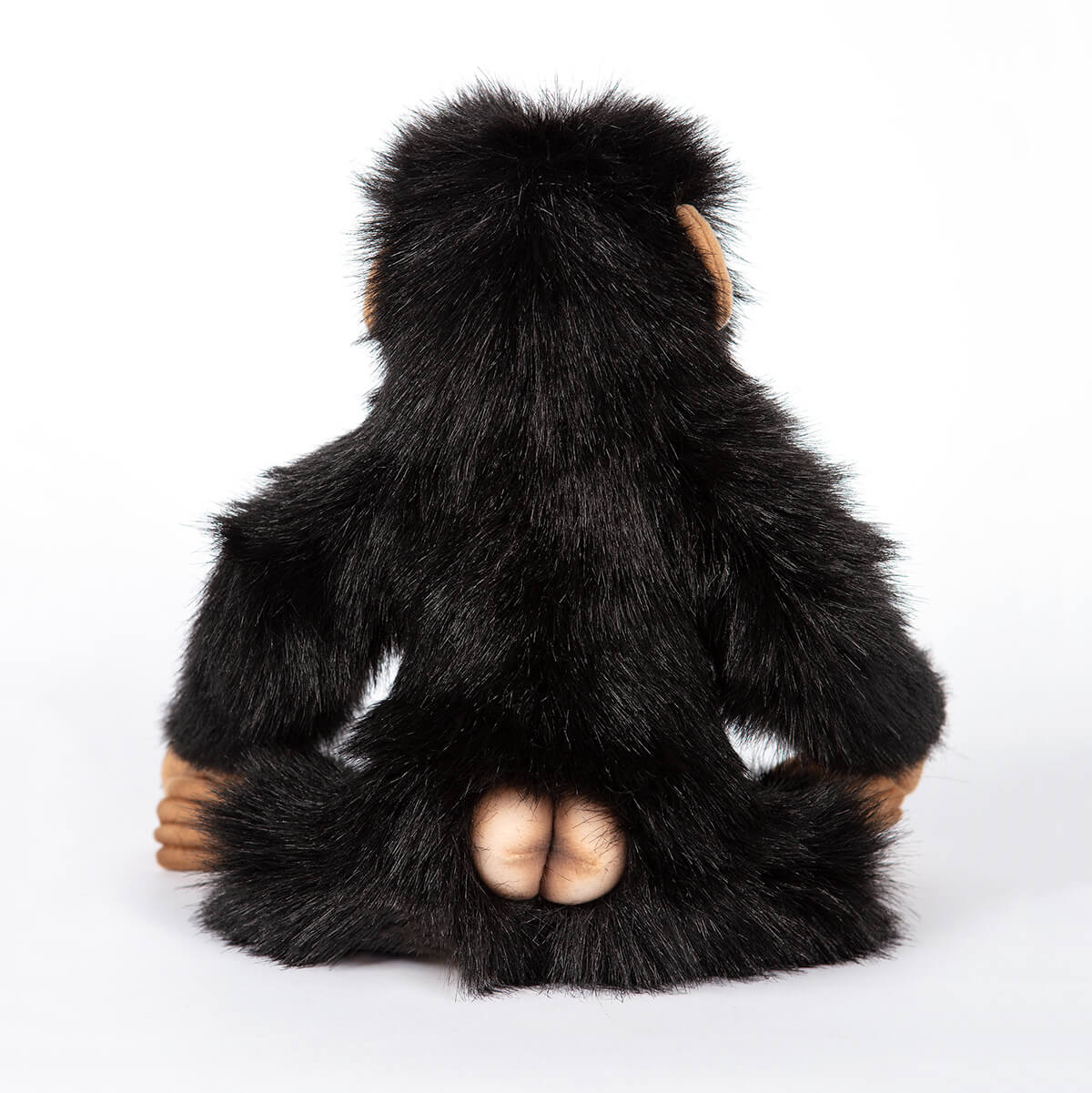 Small Chimp by Hansa