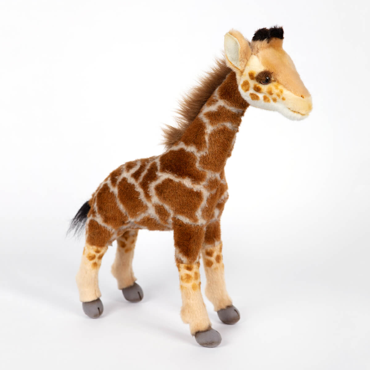 Small Giraffe by Hansa