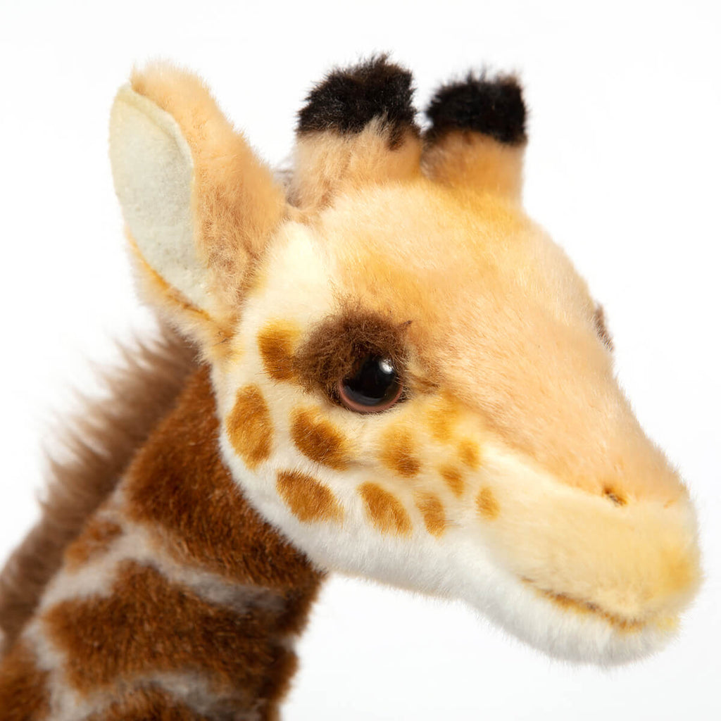 Small Giraffe by Hansa